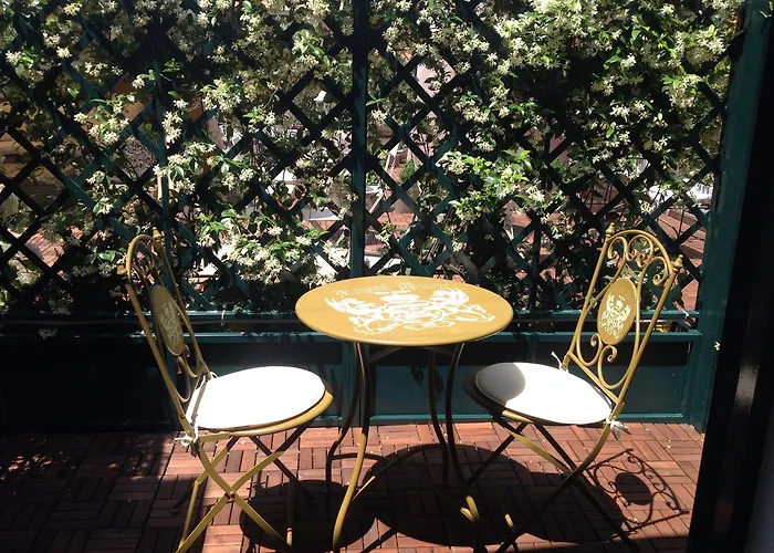 Terme Olimpia 4* Rzym